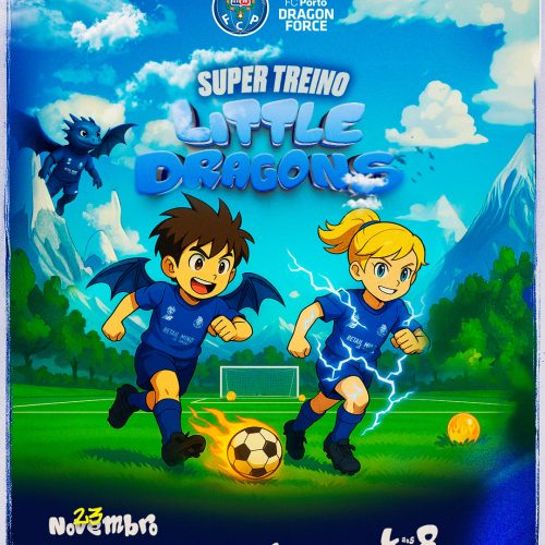 STLD_4x5-website Super Treino Little Dragons